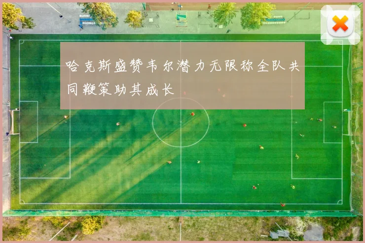 哈克斯盛赞韦尔潜力无限称全队共同鞭策助其成长