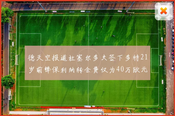 德天空报道杜塞尔多夫签下多特21岁前锋保利纳转会费仅为40万欧元