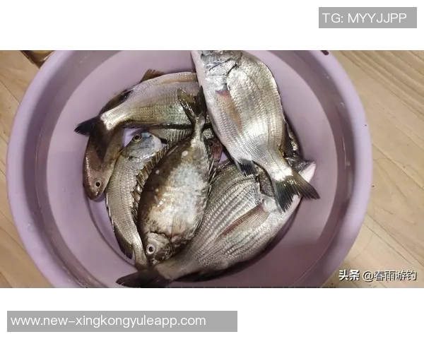 拉什福德分享海钓乐趣笑容灿烂展现多彩业余生活